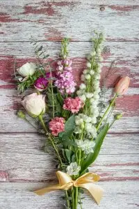 micheile henderson krablaswbyq unsplash